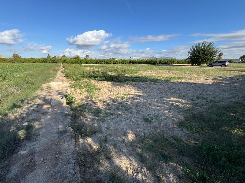 Foto d7c2c2aa-7c9a-4af4-88ca-5c391157ecb4. Propriété dans Llano de Brujas Murcia