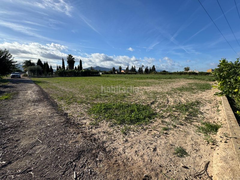 Foto dd4dbca5-0f49-4861-b344-18f79a06a445. Finca rústica a Llano de Brujas Murcia