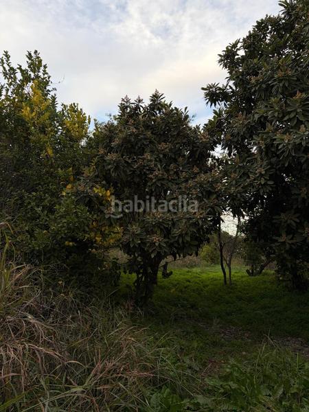 Foto 29a4f574-f1ee-44e8-8767-0a1bf63368e9. Bauernhof in Beniaján Murcia