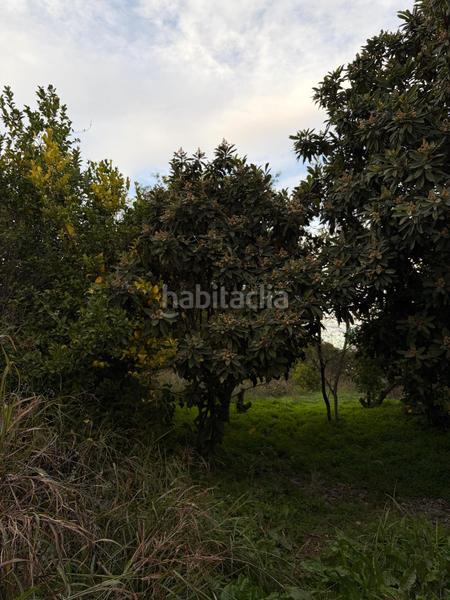 Foto 66ba7069-07e9-44a9-b683-91382ee7e480. Bauernhof in Beniaján Murcia