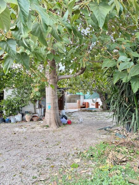 Foto 7423cb93-03bf-4f3a-a85e-9e7a0a89e99a. Bauernhof mit parking in Beniaján Murcia