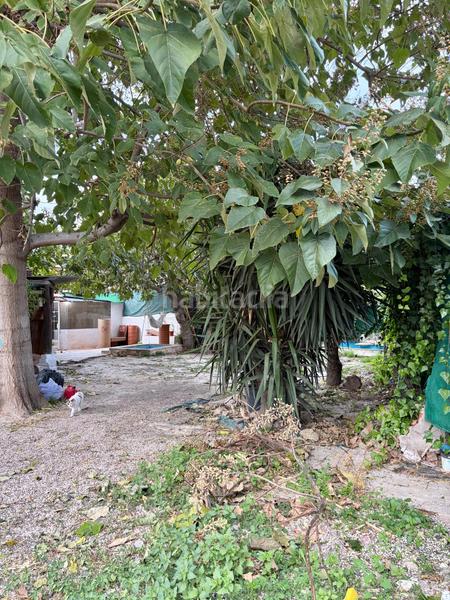 Foto be4f0d48-ca19-41ea-b04a-29d266b5dd6f. Bauernhof in Beniaján Murcia