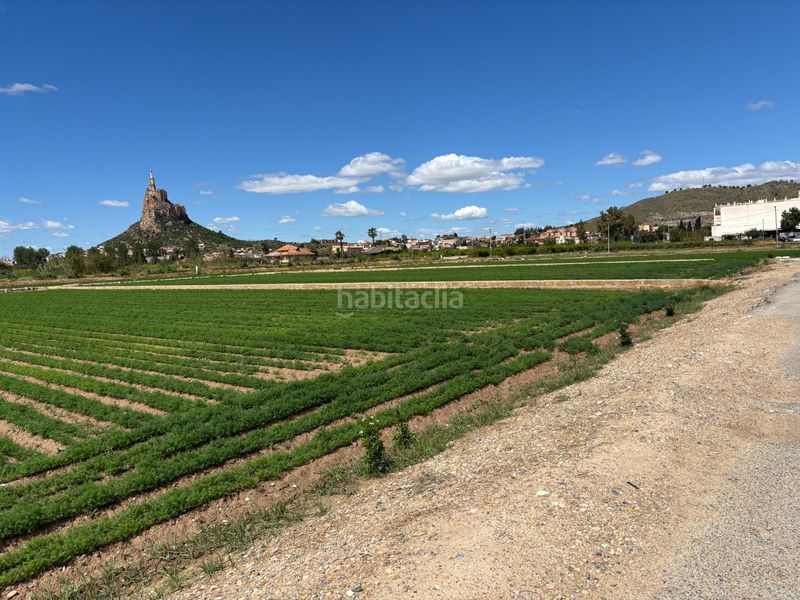 Foto 1c1b49e4-f97c-4bcd-8e45-86b55f09bfc1. Terreny residencial a La Paz Murcia
