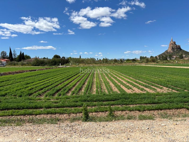 Foto e21ef692-8fab-406d-ac34-bc864b484cc4. Terreny residencial a La Paz Murcia