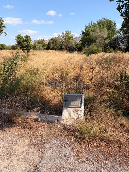 Foto f83b2d99-29ea-4014-bdb8-3d3a9c1e4c7d. Finca rústica a Santa Cruz Murcia