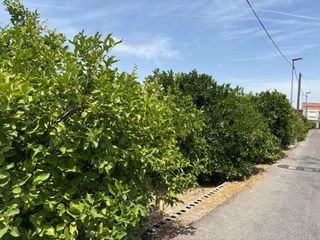 Terreny residencial a Beniaján