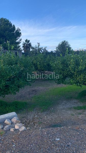 Foto 3eed68dc-a3e9-4f08-b1ad-d704ad4e54d0. Finca rústica a Los Ramos Murcia
