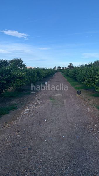 Foto 4ce4ef09-37f7-4c1b-b404-f4d012ffd898. Finca rústica a Los Ramos Murcia