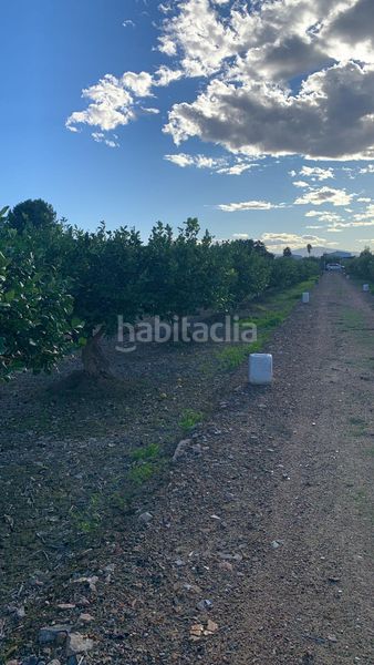Foto 96202f51-56b3-4c4a-95f1-fa4d58a6a98e. Finca rústica a Los Ramos Murcia