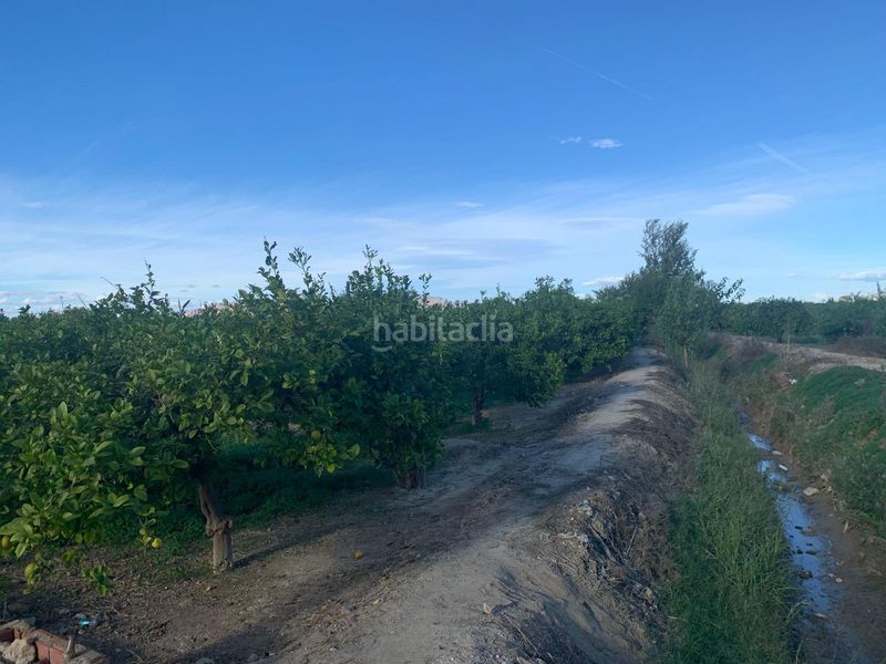 Foto d0581e87-bbf3-4029-8039-b974a4094f86. Finca rústica a Los Ramos Murcia