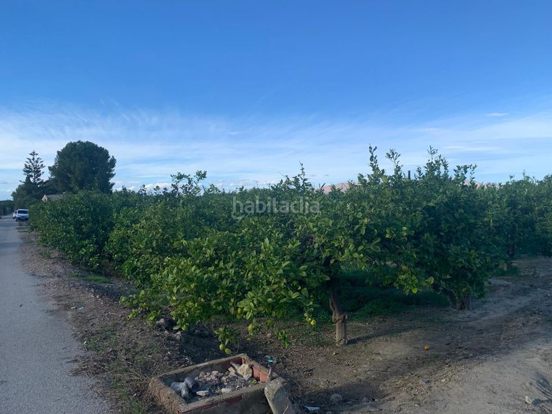 Foto d13a045d-81df-446a-b764-c69445f795cd. Finca rústica a Los Ramos Murcia