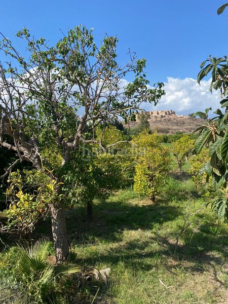 Foto 2c6f08e7-59dd-401c-a8c5-f5c412e2017c. Finca rústica a Cabezo de Torres Murcia