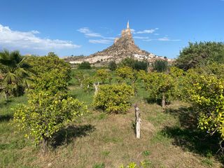 Finca rústica a Cabezo de Torres