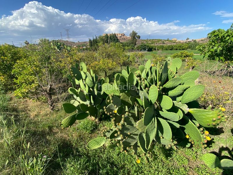 Foto 4a2f2844-354d-4f02-9149-a0853455aaa1. Finca rústica a Cabezo de Torres Murcia