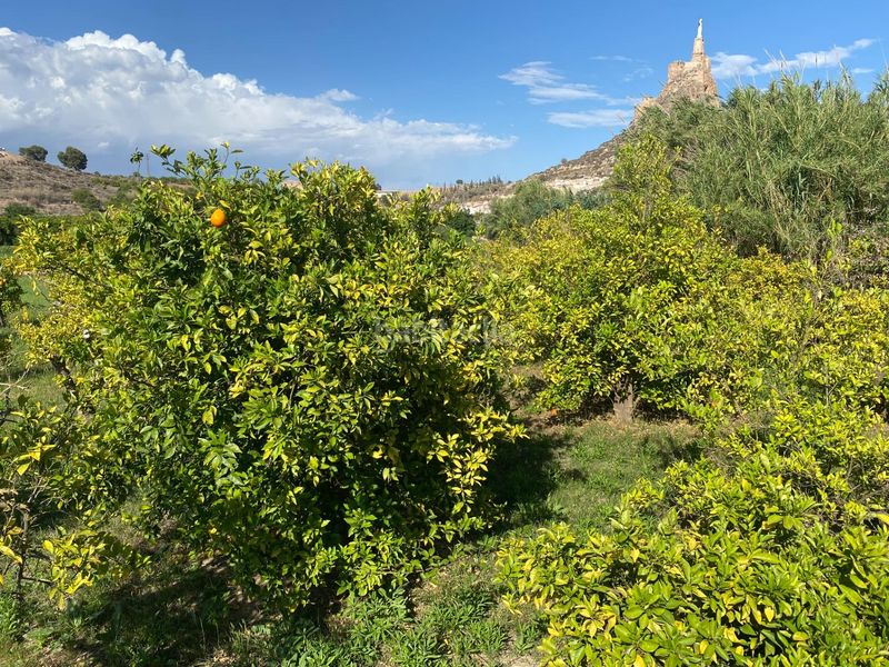 Foto 59fd7056-dbe9-4252-98bd-80d07b044e27. Finca rústica a Cabezo de Torres Murcia