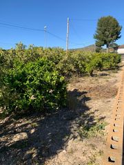 Finca rústica a Zarandona