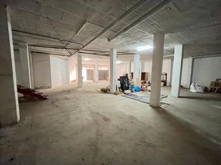 Business premise  C-250a