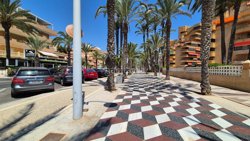 Foto 94efbce4-8f4b-4e5f-8887-7dff78edd10e. Pis amb aparcament a Los Arenales del Sol Elche / Elx