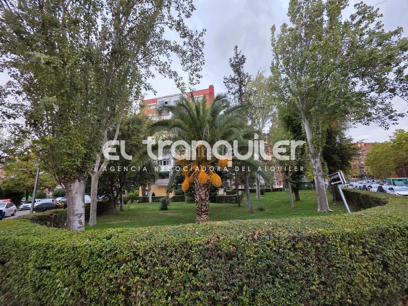 Foto 5321d03f-29e3-4f11-9012-f74be444ca0a. Rent flat in Marroquina Madrid