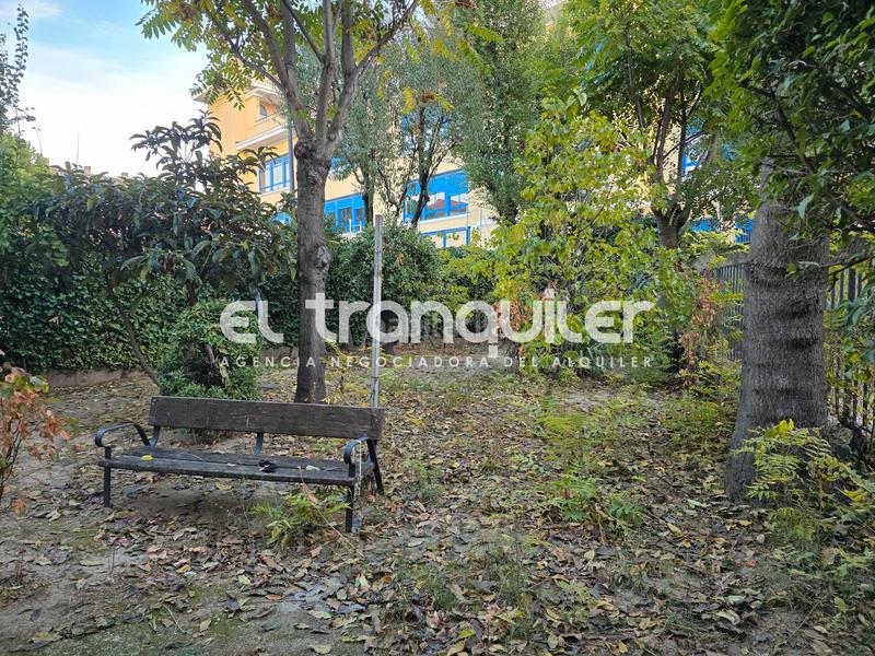 Foto f2e7fa58-5d9d-4af7-98a6-ac9ef1ca7f4c. Alquiler piso calle apostol santiago, n 56, bajo, puerta c en Madrid