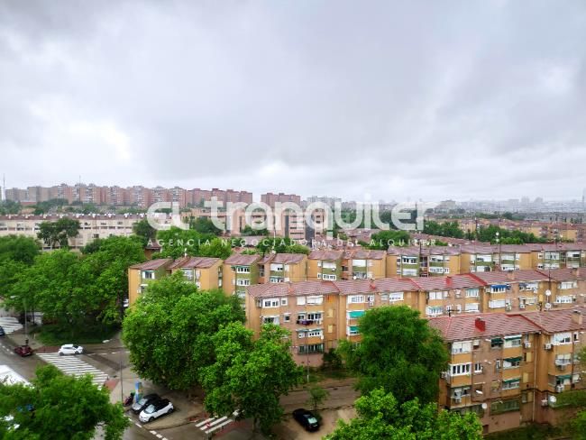 Foto c575702e-e16d-4f60-bbfb-29d6f9b339c9. Pis a Arcos Madrid