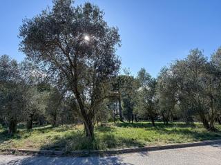 Terreny residencial a PS RONDA