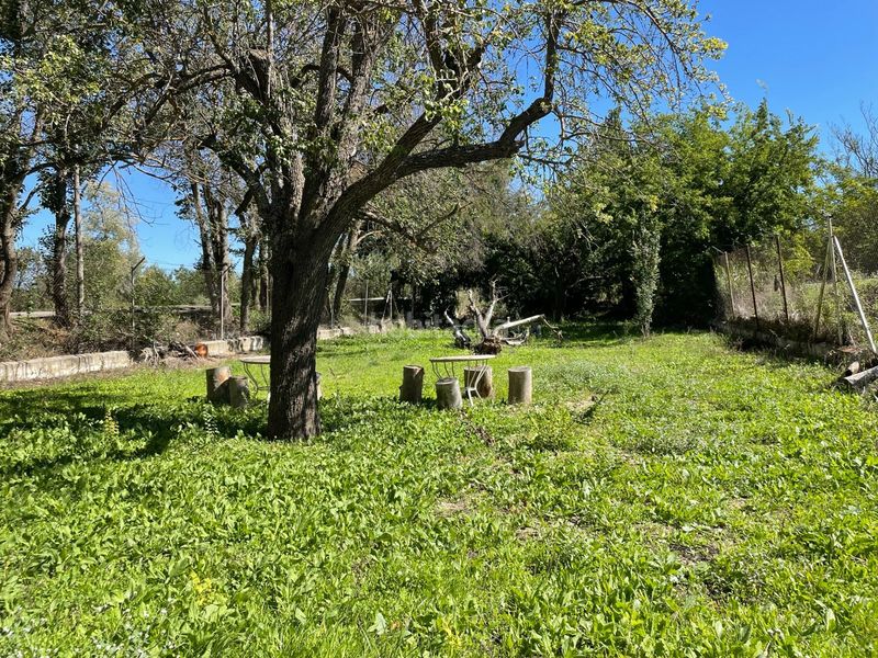 Foto 1a743639-4a2b-4556-9689-b4c885e87579. Finca rústica en Foso-Moreras Aranjuez