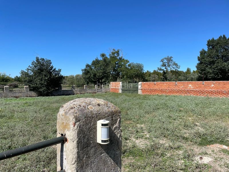 Foto 5fb013cb-8d66-4762-b256-19218a321031. Finca rústica en Foso-Moreras Aranjuez