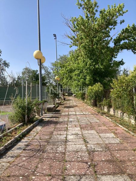 Foto 5c9304af-87f6-4bed-9067-c48c3367f77a. Casa amb piscina a Foso-Moreras Aranjuez