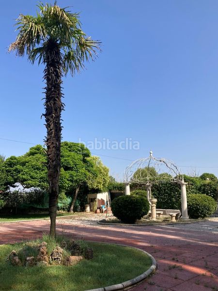 Foto 7ed7fe66-b056-45e7-9e78-280adc6dd944. Casa amb piscina a Foso-Moreras Aranjuez