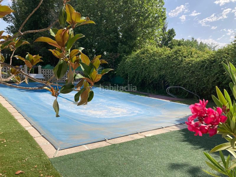 Foto 93a0fd35-4571-4729-acb6-9f394c537ec9. Casa amb piscina a Foso-Moreras Aranjuez