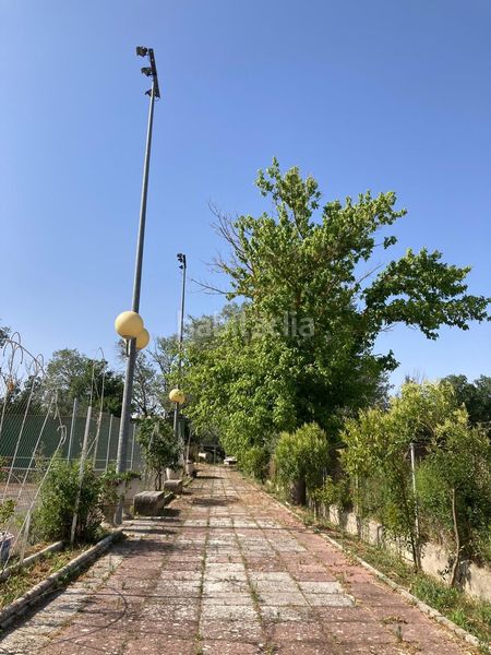 Foto c58dfeda-4009-4a58-99ad-da14cee203b7. Casa amb piscina a Foso-Moreras Aranjuez