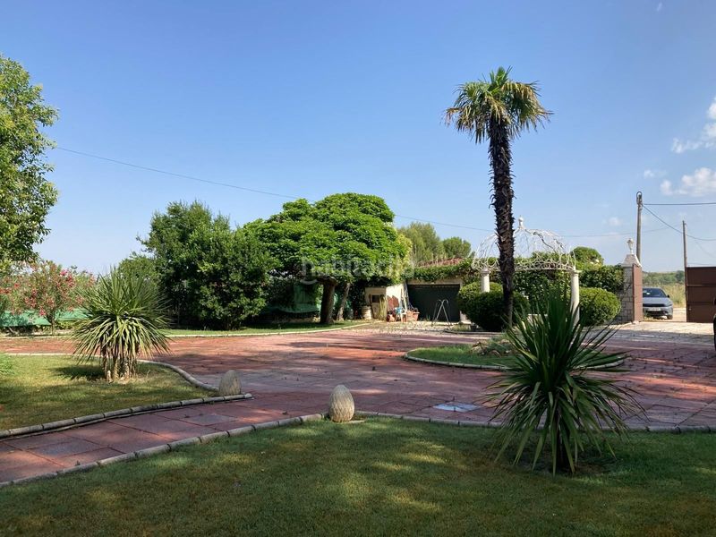 Foto c5e01db5-d3a4-4b49-8403-28214857e7db. Casa amb piscina a Foso-Moreras Aranjuez