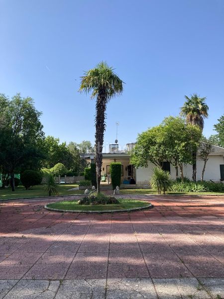 Foto f7df982b-8788-4e47-a8ce-8ce3307153ff. Casa amb piscina a Foso-Moreras Aranjuez