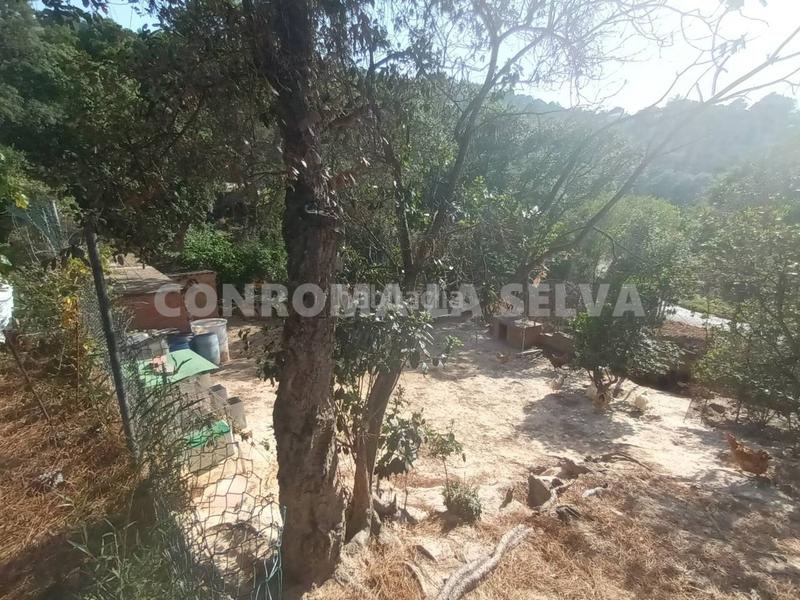 Foto 47c875b2-ca7b-4f97-83cb-0bc4b44eb1c2. Wohngrundstück in Montbarbat Maçanet de la Selva