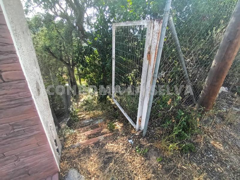 Foto 70686a6e-62ff-4b53-8feb-5185c174cdac. Wohngrundstück in Montbarbat Maçanet de la Selva