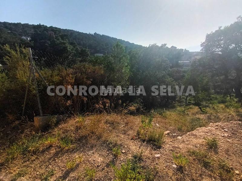 Foto 923bbc3f-ac20-4c50-bddf-cebeca39ddac. Wohngrundstück in Montbarbat Maçanet de la Selva