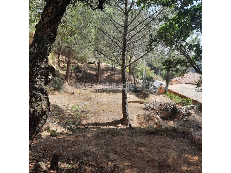 Foto 011b76b1-f7b4-4b2b-9cc8-0d9a05aecb2a. Residential plot in Riudarenes