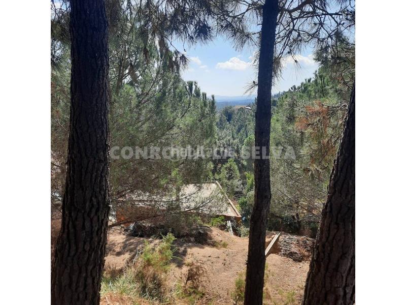 Foto a1987cb1-d849-4b6b-8e39-e5786d02e1ab. Residential plot in Riudarenes