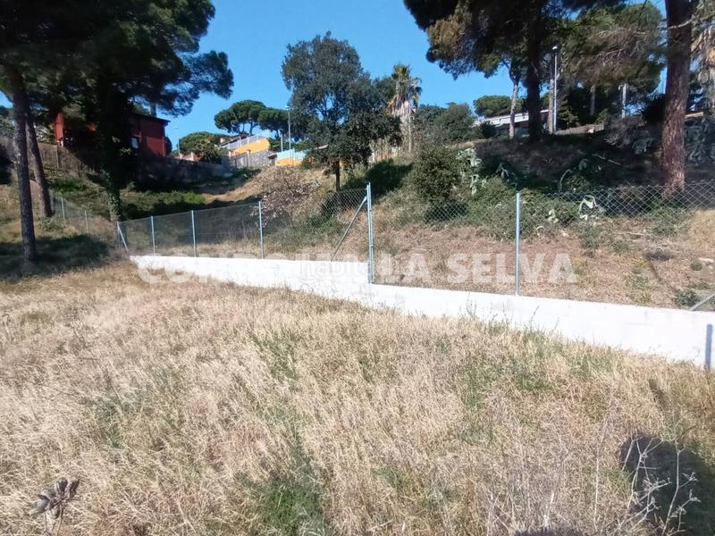 Foto 4998cae0-5696-4290-b367-03c36a561115. Terreny residencial a Mas Mora-Sant Daniel Tordera