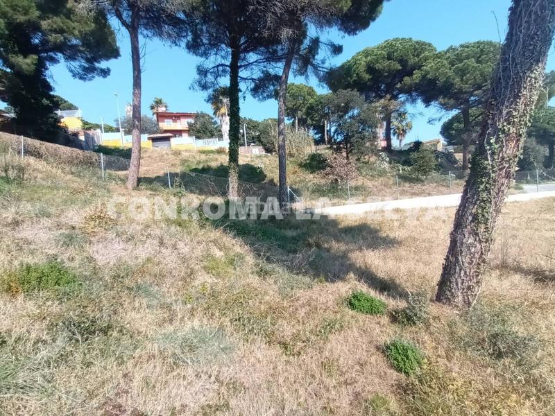 Foto 954befcc-1466-4e8a-955b-71c9c90e0394. Terreny residencial a Mas Mora-Sant Daniel Tordera