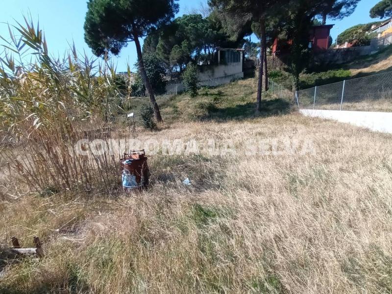 Foto 988b5db8-e36d-4558-9d94-0528e439d438. Terreny residencial a Mas Mora-Sant Daniel Tordera