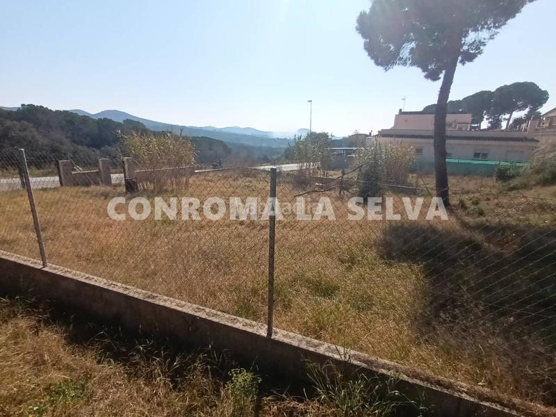 Foto 9edb2674-8746-4098-a4c4-92f621d6ada3. Terreny residencial a Mas Mora-Sant Daniel Tordera