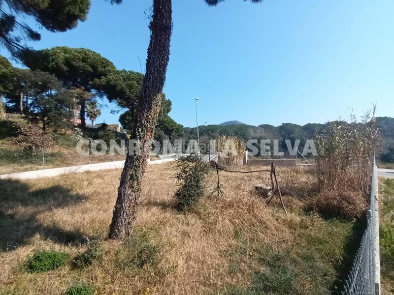 Foto bfd25e3b-e94c-4379-9680-a70b4f4d319a. Terreny residencial a Mas Mora-Sant Daniel Tordera
