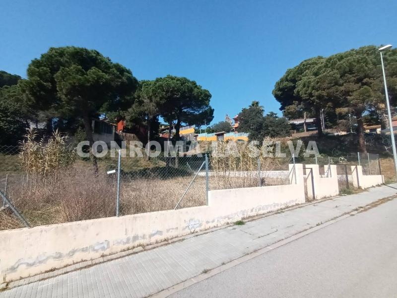 Foto e7ced60d-76df-45ad-bd49-c1fbdccfbe51. Terreny residencial a Mas Mora-Sant Daniel Tordera