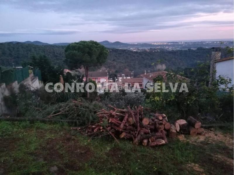 Foto 02e9563f-8803-4a36-aa53-31a3e3817be5. Terreno residenziale in Mas Mora-Sant Daniel Tordera