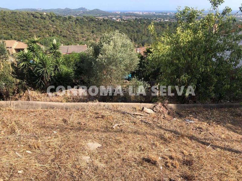 Foto 1e0babb8-cb53-4208-bd4b-f45c0aedf6db. Terreno residenziale in Mas Mora-Sant Daniel Tordera