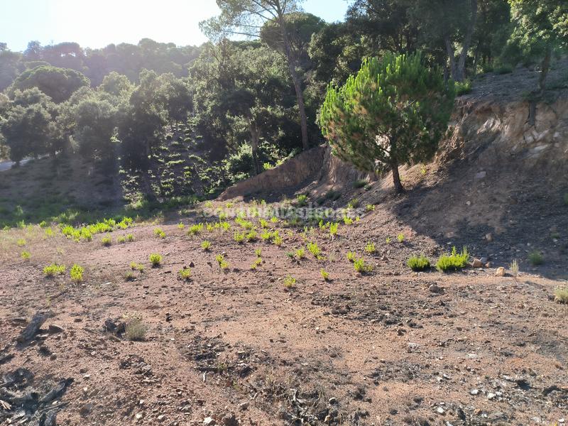 Foto 4ec590f4-5910-4384-ac87-2cff454644d7. Terreno residencial en Niàgara Parc -Àgora Parc Tordera