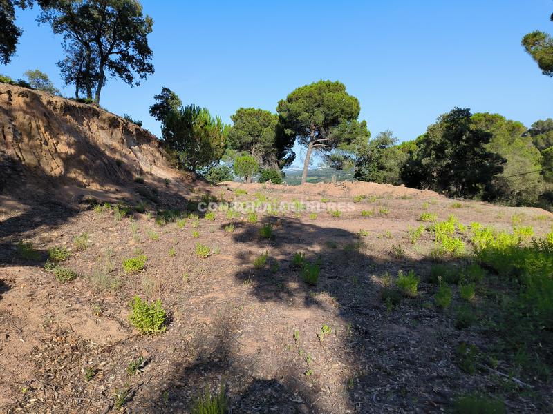 Foto 5046d6f3-b629-4295-a226-a8ed1ec25c07. Terreno residencial en Niàgara Parc -Àgora Parc Tordera
