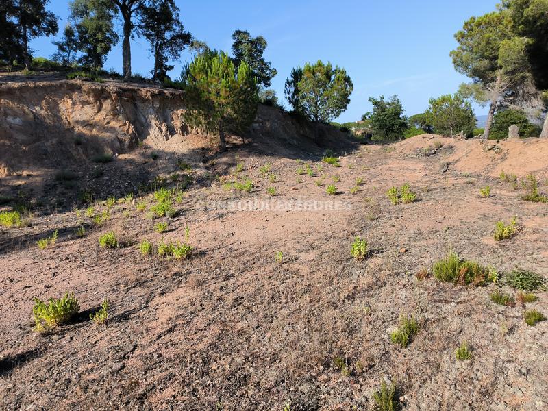 Foto 7618560c-1d5e-4ad5-8d94-d6fb557fad4d. Terreno residencial en Niàgara Parc -Àgora Parc Tordera